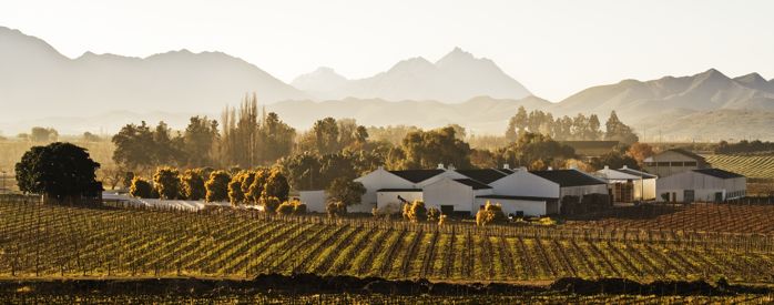 Bon Courage Wine Farm