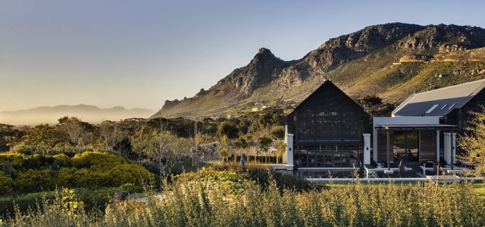 Steenberg Wine Farm
