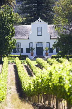 Buitenverwachting Wine Farm