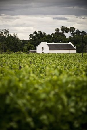 Delta Strom Wine Farm