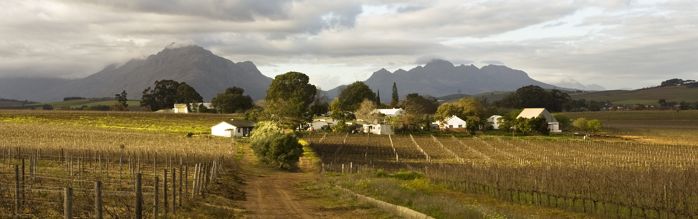 Simonsig Wine Farm